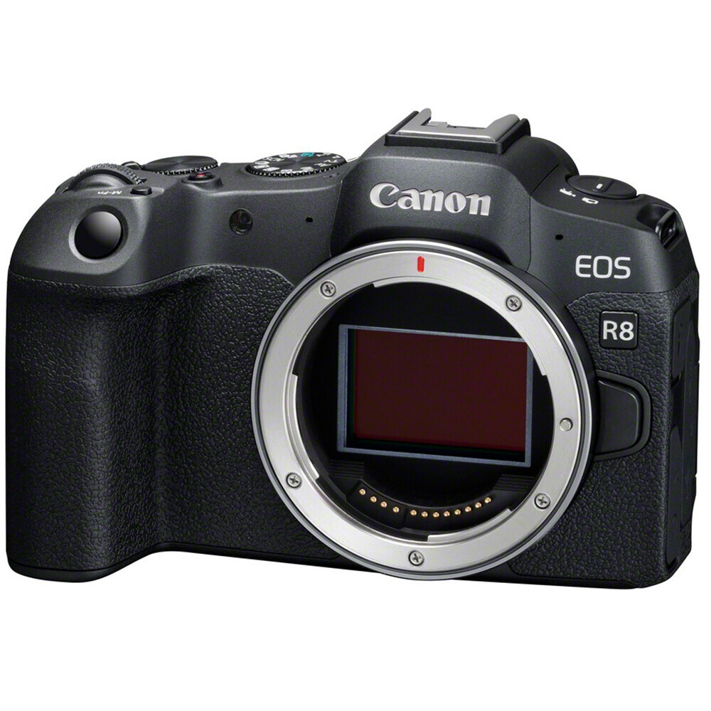 Canon EOS R8 — Lichtgewicht full-frame krachtpatser voor creators