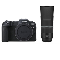 Canon EOS RP + RF 800mm f/11 IS STM