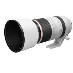 Canon RF 100-500mm f/4.5-7.1L IS USM