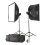 Godox MS300-F 2-Monolight Kit