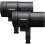 Profoto B20 Duo Kit