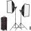 Godox SL100D LED Video Light Two Light Kit