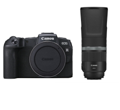 Canon EOS RP + RF 800mm f/11 IS STM
